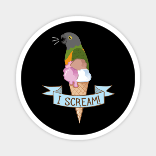 Senegal Parrot Ice Cream Magnet